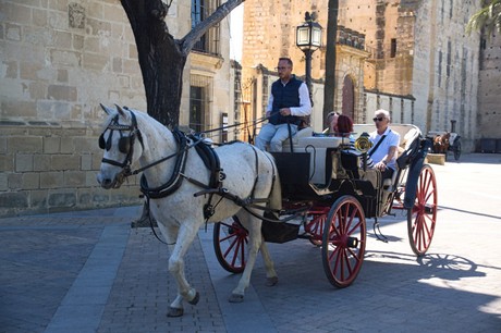 Santiago de la Ribera